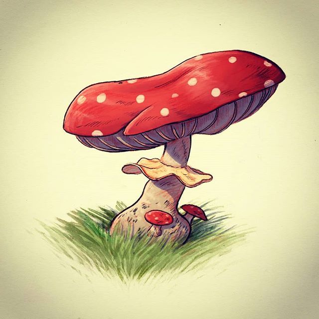 Un champignon rouge