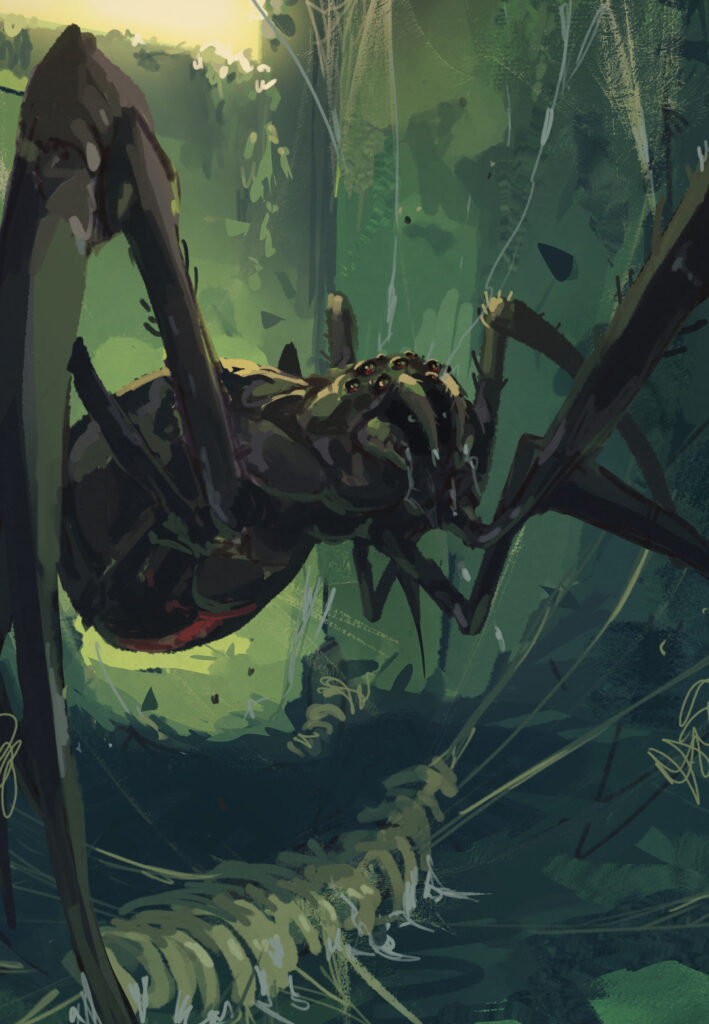 Les araignées de Once Upon a Line peuvent faire plusieurs mètres de haut !